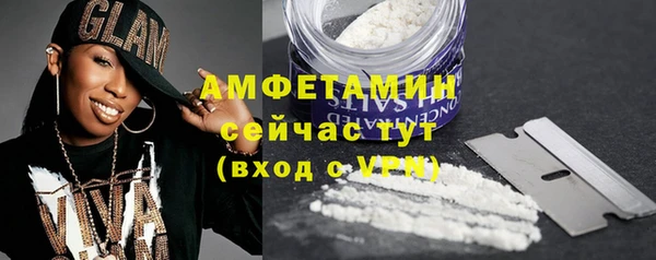 прущие грибы Зеленодольск