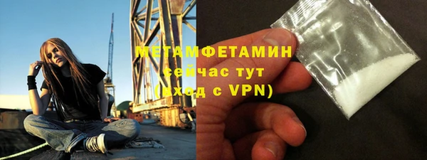 прущие грибы Зеленодольск