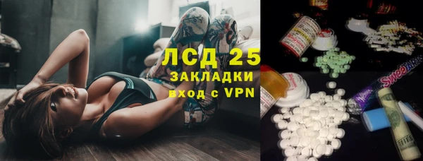 прущие грибы Зеленодольск