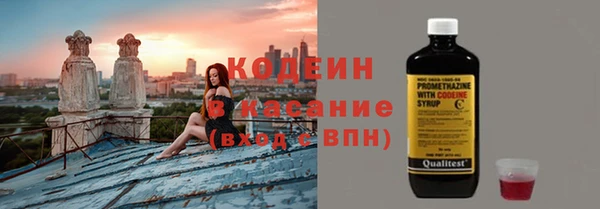 прущие грибы Зеленодольск