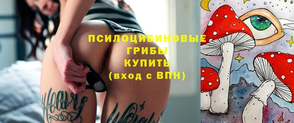 прущие грибы Зеленодольск