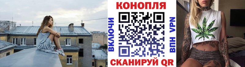 Купить  Таштагол  МАРИХУАНА ГИДРОПОН 